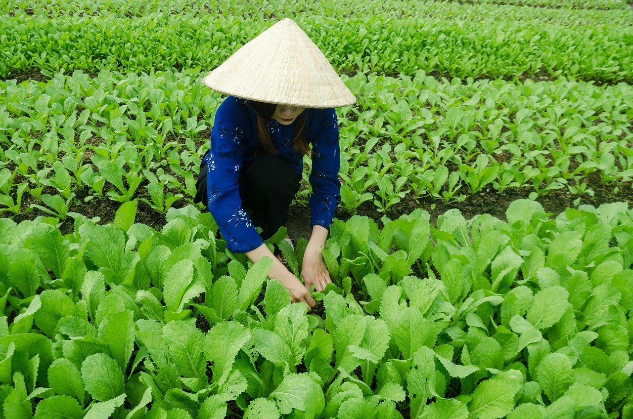 林枫听雨 第6页