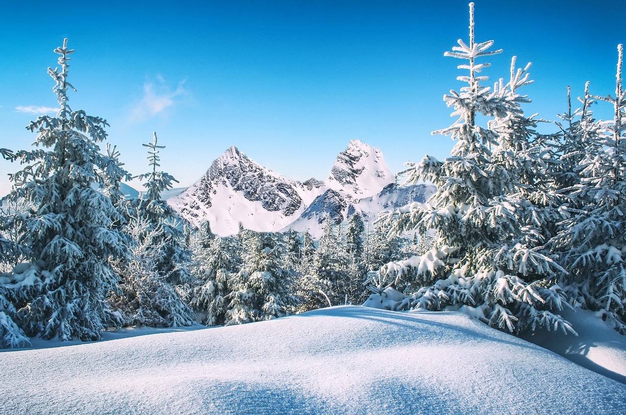 大自然的绝美画卷，最新雪景欣赏