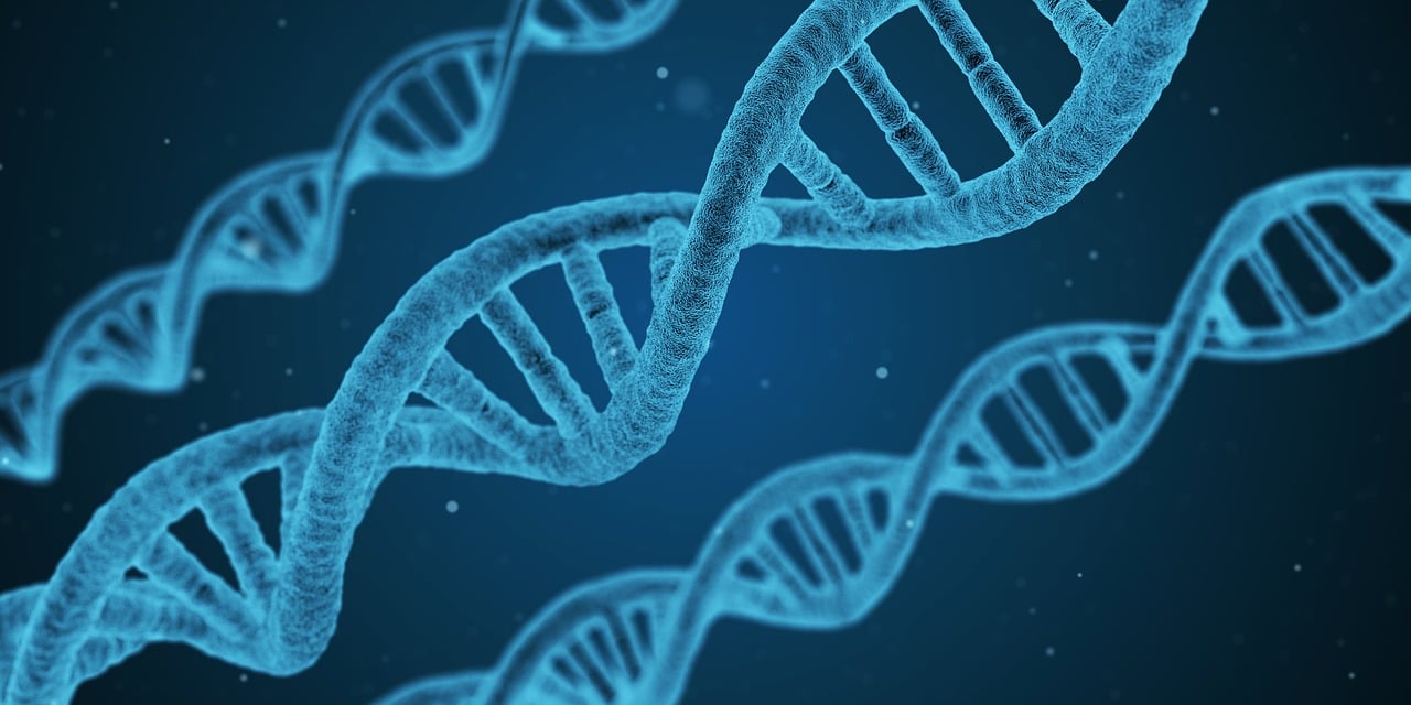 最新腰椎研究综述，理解、预防与治疗方法探讨