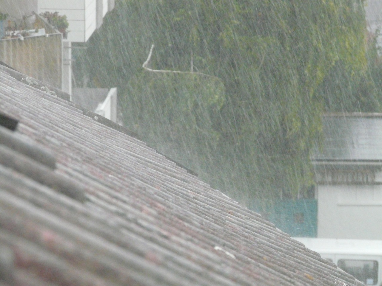 最新大雨动态，暴雨影响及应对措施解析