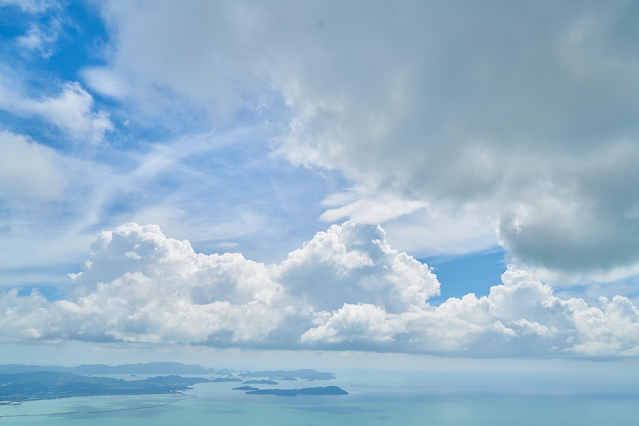 沧海 第4页