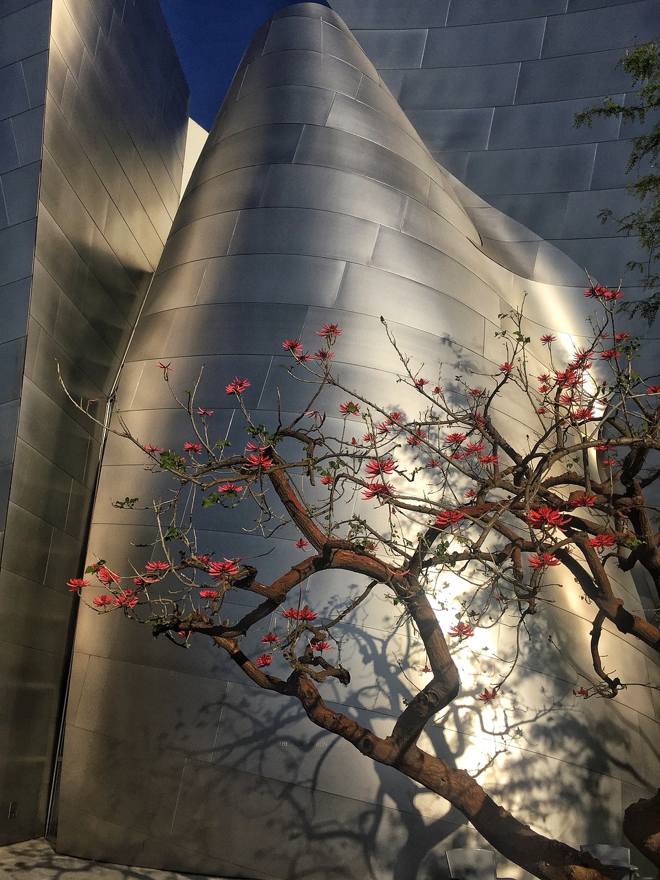 创新设计与科技融合引领未来建筑潮流，最新楼房动态速递