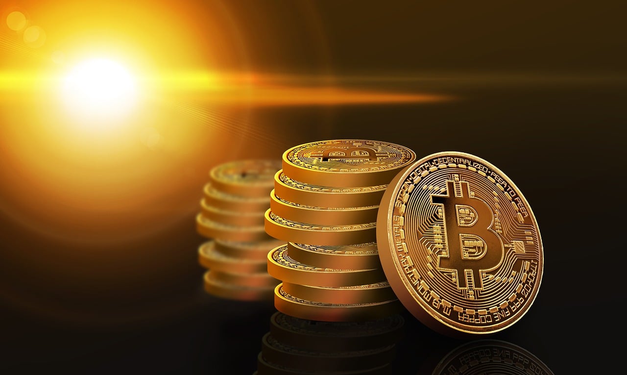 最新检举制度下的社会监督与治理效能提升探究