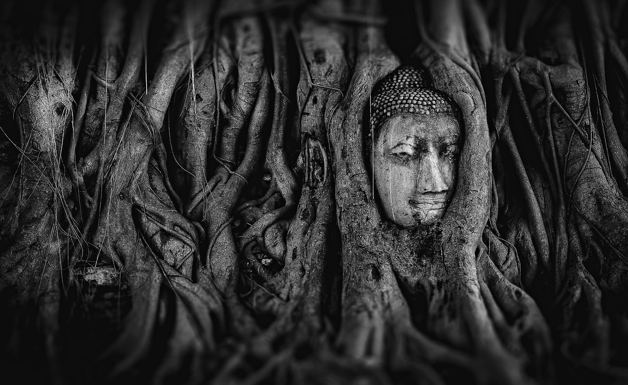 探索神秘仙境的奇幻之旅，最新仙游之旅攻略