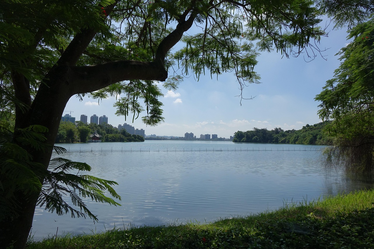 五月大陆与台湾最新新闻综述，两岸动态一览